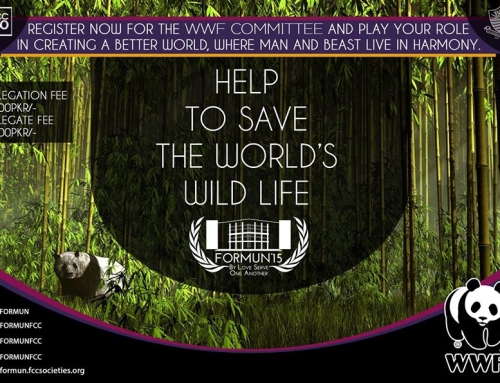 Help in conserving nature with WWF